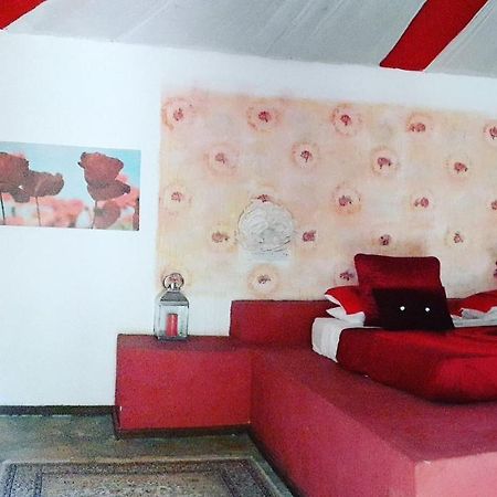 Gecko Nature Lodge Home Of Swahili Divers The Best Dive Center And Famous Gecko Restaurant Verani Екстериор снимка