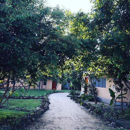 Gecko Nature Lodge Home Of Swahili Divers The Best Dive Center And Famous Gecko Restaurant Verani Екстериор снимка