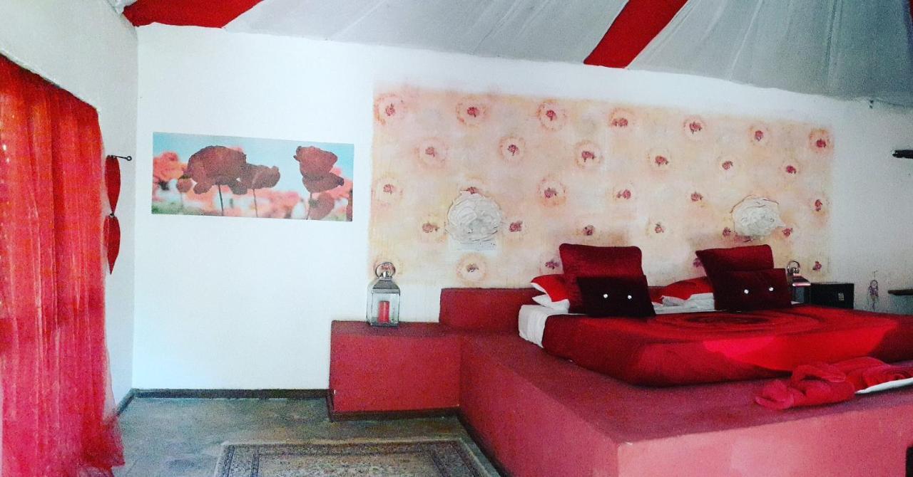 Gecko Nature Lodge Home Of Swahili Divers The Best Dive Center And Famous Gecko Restaurant Verani Екстериор снимка