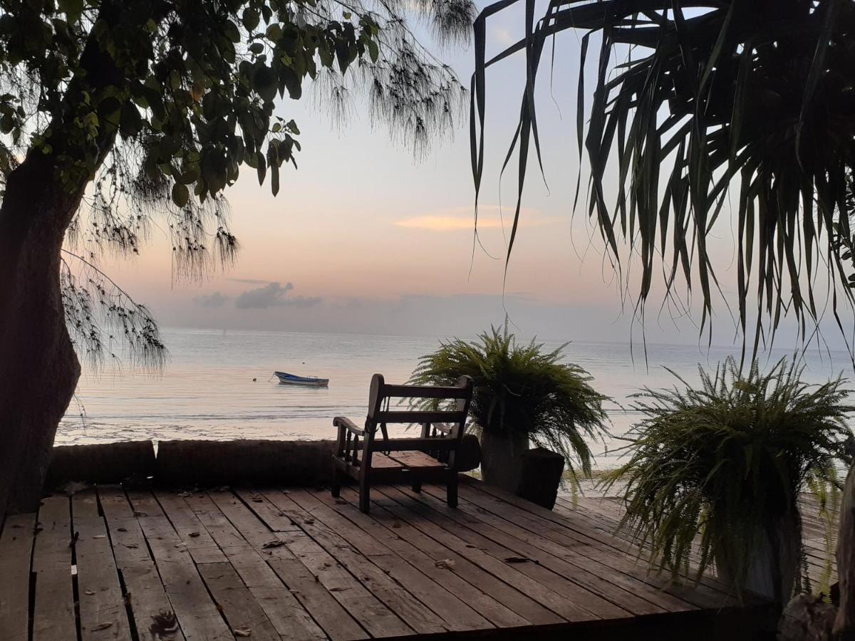 Gecko Nature Lodge Home Of Swahili Divers The Best Dive Center And Famous Gecko Restaurant Verani Екстериор снимка