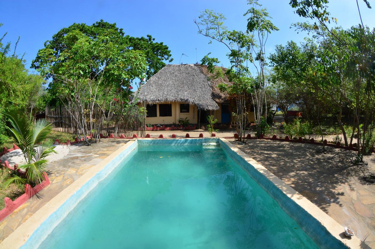Gecko Nature Lodge Home Of Swahili Divers The Best Dive Center And Famous Gecko Restaurant Verani Екстериор снимка