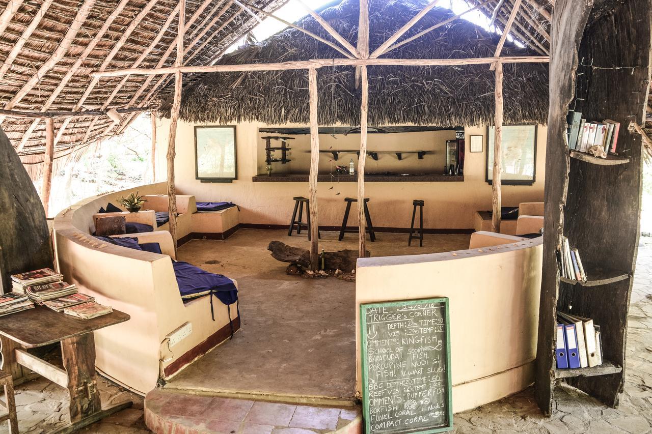Gecko Nature Lodge Home Of Swahili Divers The Best Dive Center And Famous Gecko Restaurant Verani Екстериор снимка