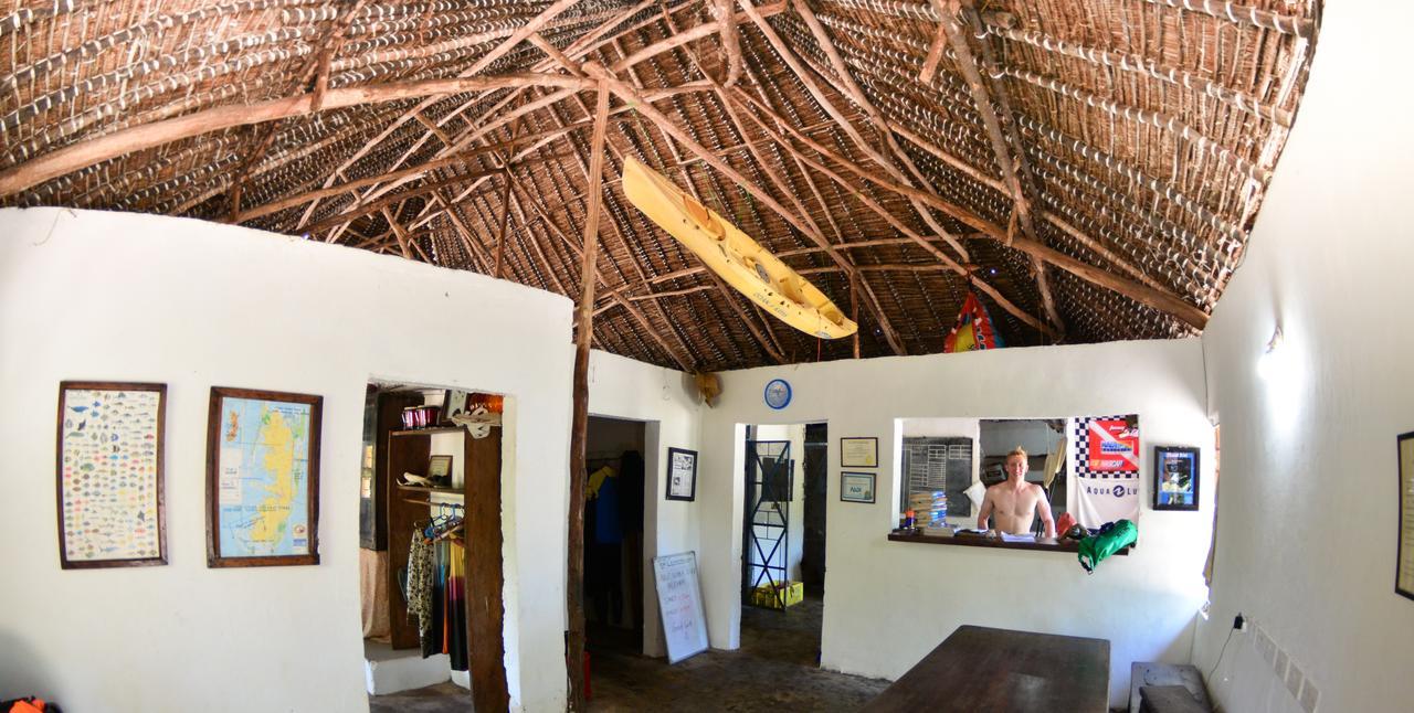 Gecko Nature Lodge Home Of Swahili Divers The Best Dive Center And Famous Gecko Restaurant Verani Екстериор снимка