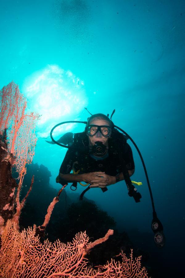 Gecko Nature Lodge Home Of Swahili Divers The Best Dive Center And Famous Gecko Restaurant Verani Екстериор снимка