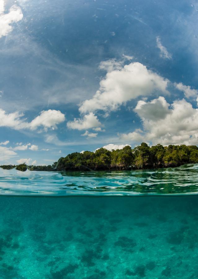 Gecko Nature Lodge Home Of Swahili Divers The Best Dive Center And Famous Gecko Restaurant Verani Екстериор снимка