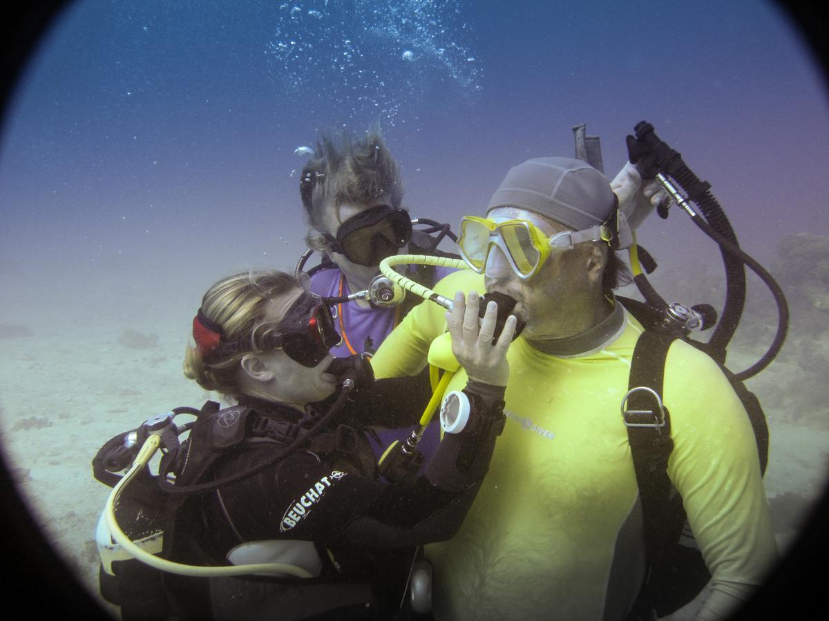 Gecko Nature Lodge Home Of Swahili Divers The Best Dive Center And Famous Gecko Restaurant Verani Екстериор снимка