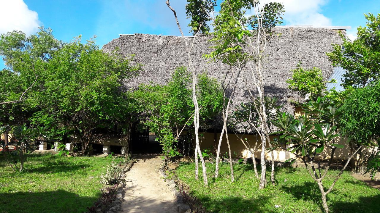 Gecko Nature Lodge Home Of Swahili Divers The Best Dive Center And Famous Gecko Restaurant Verani Екстериор снимка