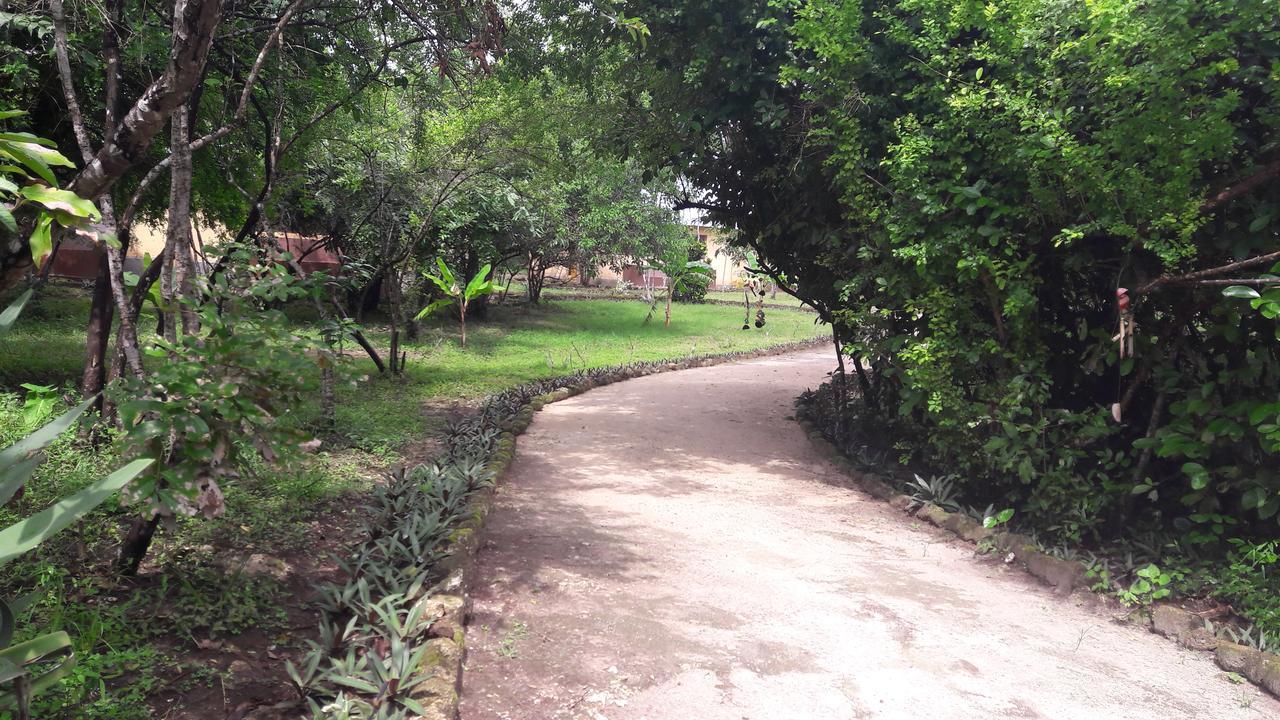 Gecko Nature Lodge Home Of Swahili Divers The Best Dive Center And Famous Gecko Restaurant Verani Екстериор снимка