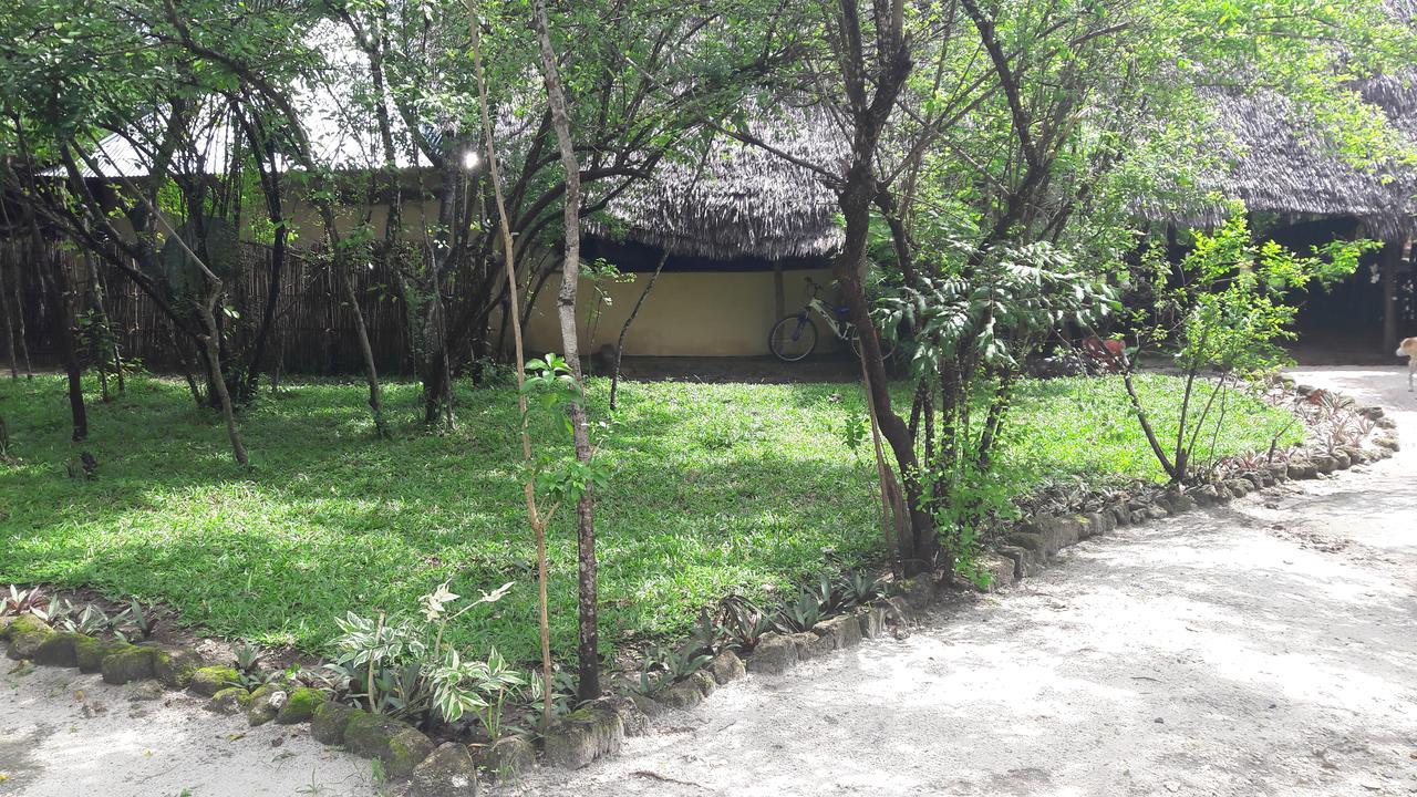 Gecko Nature Lodge Home Of Swahili Divers The Best Dive Center And Famous Gecko Restaurant Verani Екстериор снимка
