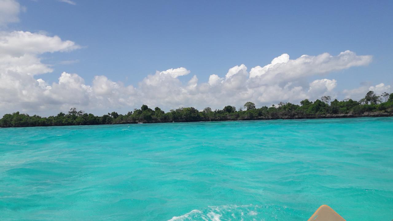 Gecko Nature Lodge Home Of Swahili Divers The Best Dive Center And Famous Gecko Restaurant Verani Екстериор снимка
