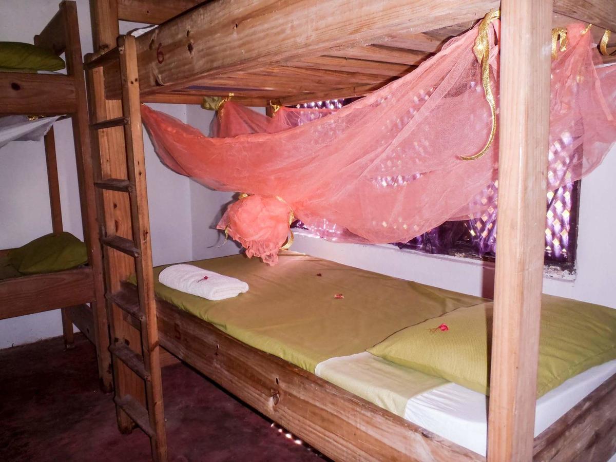 Gecko Nature Lodge Home Of Swahili Divers The Best Dive Center And Famous Gecko Restaurant Verani Екстериор снимка