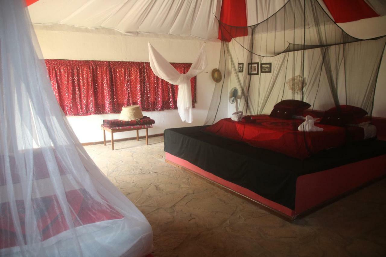 Gecko Nature Lodge Home Of Swahili Divers The Best Dive Center And Famous Gecko Restaurant Verani Екстериор снимка